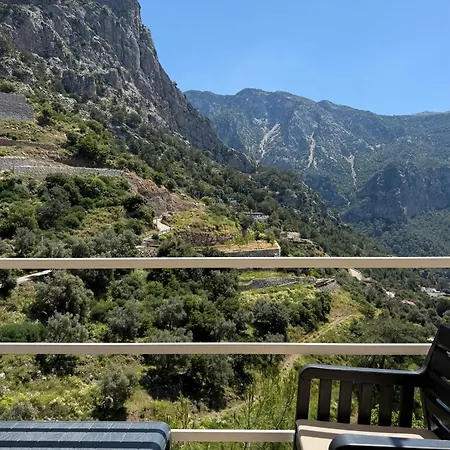Reset فاراليا