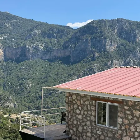Reset * فاراليا