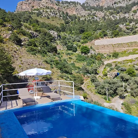 Villa Reset *